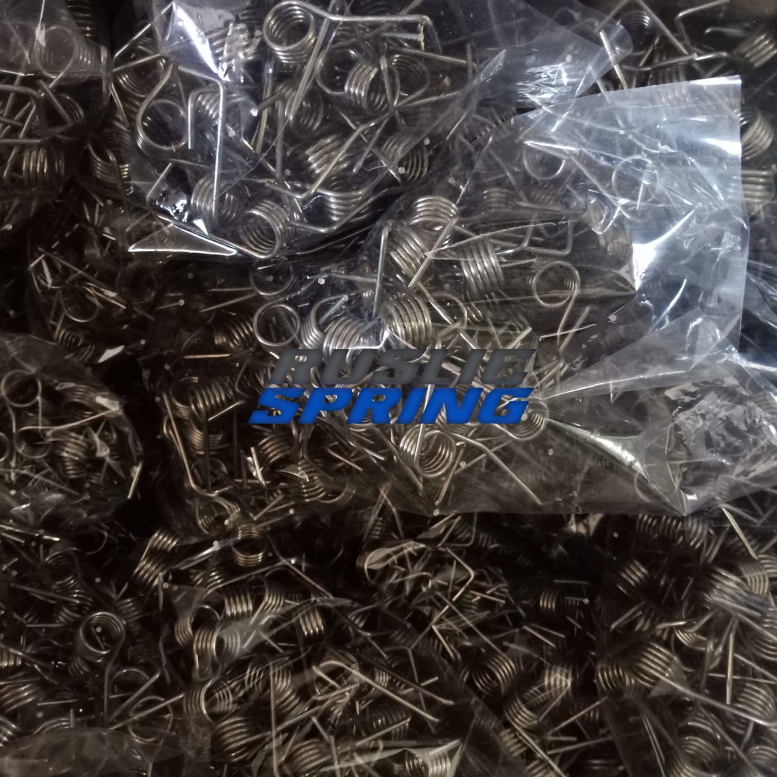 Stainless Steel Torsion Spring